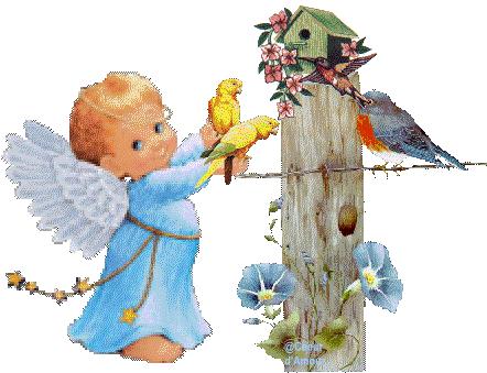 Bon Dimanche tout le monde